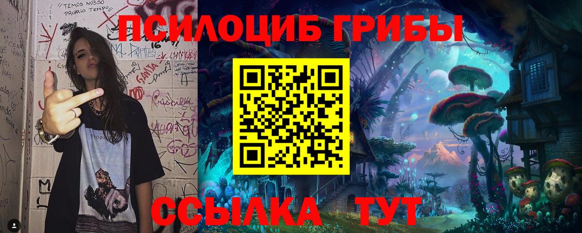 Псилоцибиновые грибы MAGIC MUSHROOMS  Вход с VPN  Нарьян-Мар  Псилоцибиновые грибы мухоморы 