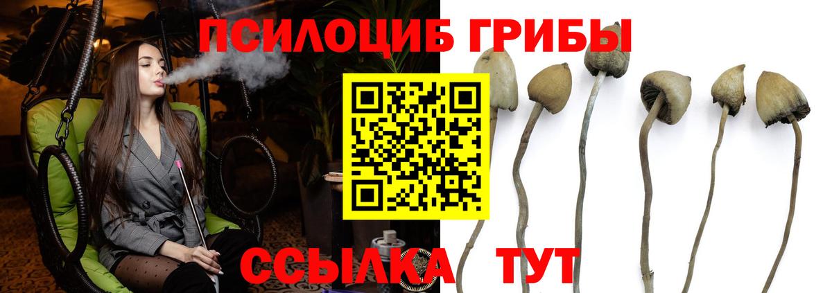 Галлюциногенные грибы MAGIC MUSHROOMS Нарьян-Мар